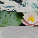 SEA SPRAY